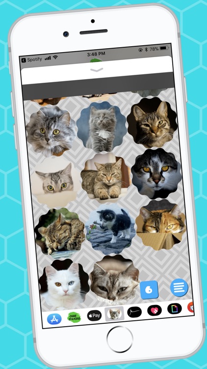 Lovable Cat Stickers screenshot-5