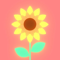 Sunflower Pop