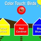 Color Touch: Birds