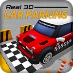 Real Car Parking Simulation