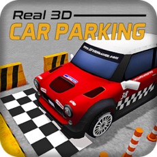 Activities of Real Car Parking Simulation