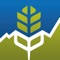 GrainMarket provides on-the-go access to live grain marketing data and information