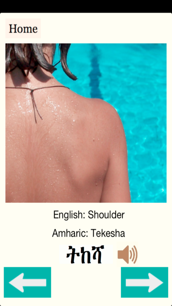 Amharic - Human Body