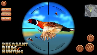 Pheasant Bird Hunting Pro screenshot 4