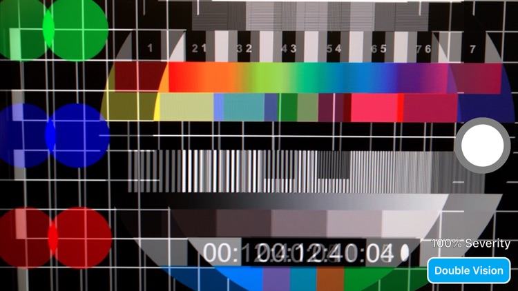 Vision Impairment Simulator screenshot-3