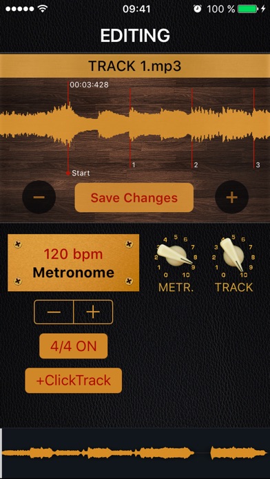 PLAYBACK With Metronome screenshot 3