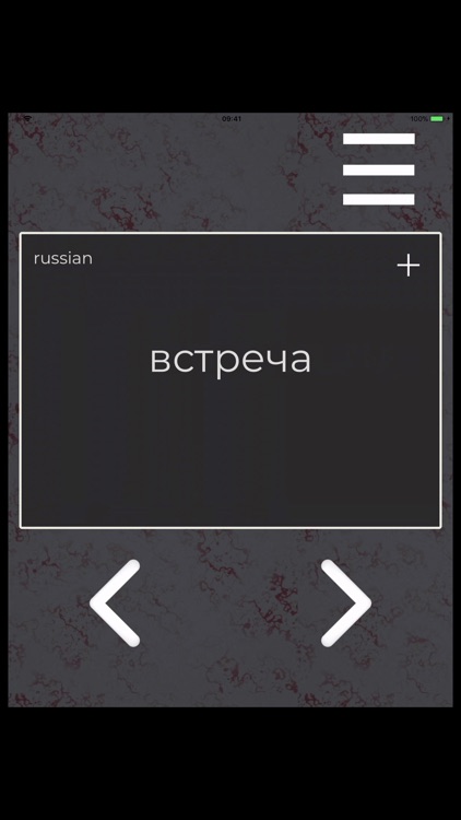 Russian Flashcards Set