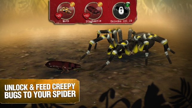 REAL SCARY SPIDERS НА РУССКОМ ВЗЛОМ СКАЧАТЬ БЕСПЛАТНО REAL SCARY SPIDERS НА РУССКОМ ВЗЛОМ СКАЧАТЬ БЕСПЛАТНО