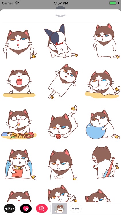 Catty Animated Stickers 2