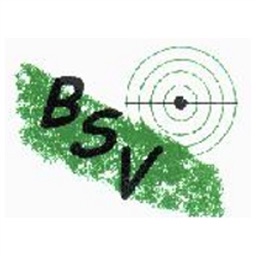 BSV Buer-Bülse