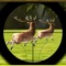 Extreme Deer Hunting Sniper Adventure is all about thrill and fun