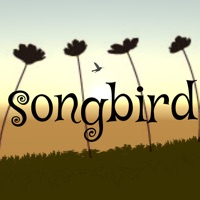 songbird