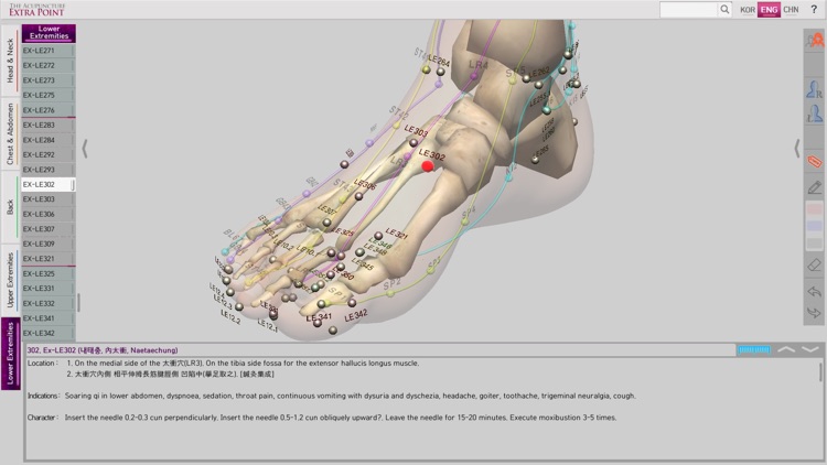 The Acupuncture of Extra Point screenshot-3