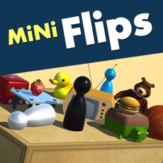 Activities of MiNi Flips