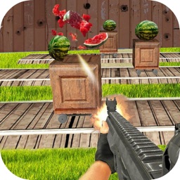 Target Watermelon Shooting