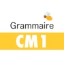 Get Grammaire CM1 for iOS, iPhone, iPad Aso Report