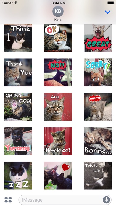 Meow Meow Not Say - Ani-emoji screenshot 3