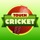 Touch Cricket
