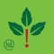Rash Plants is your all-inclusive reference for everything you need to know about poison ivy, poison oak and poison sumac