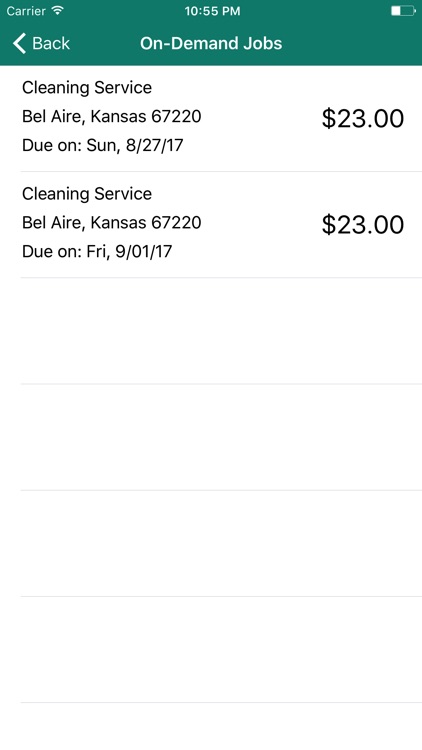 Provider App - Cleaning Buddy