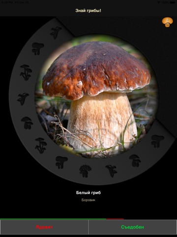 Скриншот из Learn Forest Mushrooms