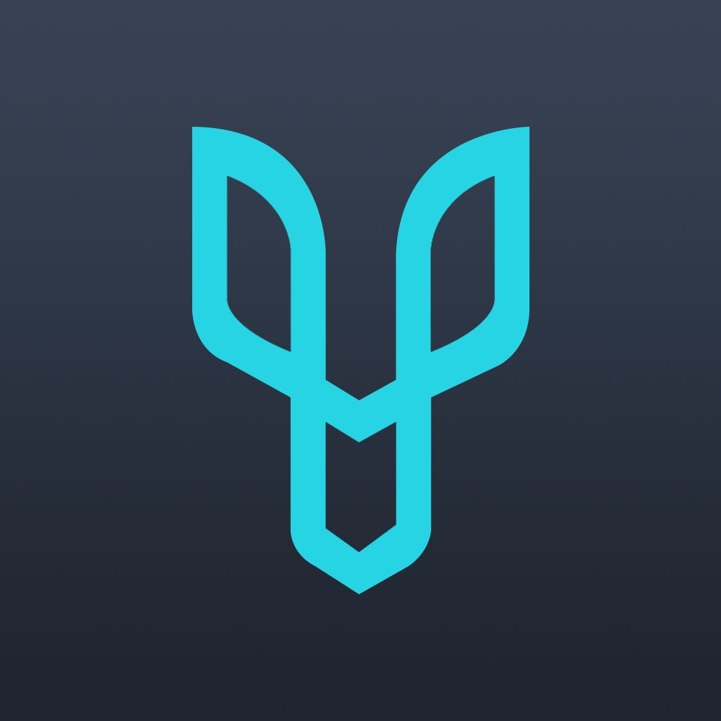Desygner App Icon