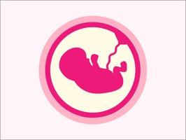 Pregnancy Stickers - Baby Bump