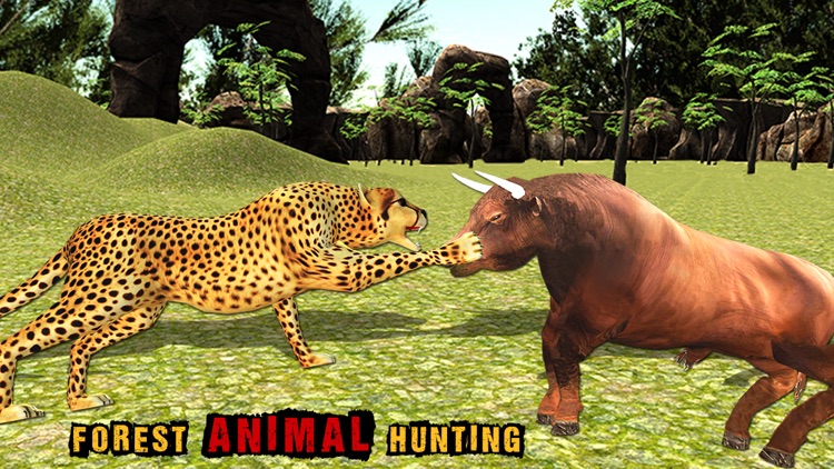 Wild African Cheetah Simulator