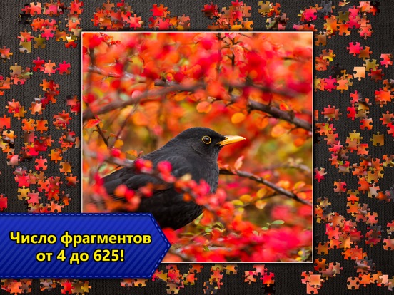 Игра Jigsaw Puzzles Epic