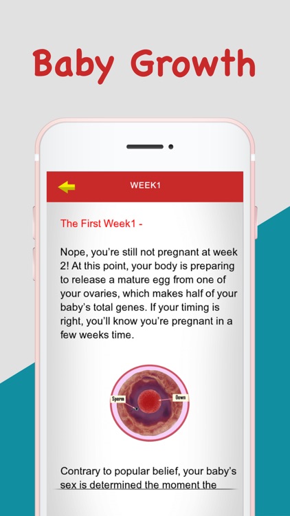 Pregnancy - Baby Safe Delivery
