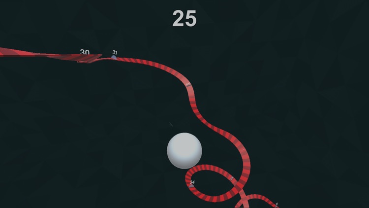 Twisty Road! screenshot-4
