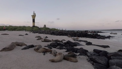 Lindblad Galapagos screenshot 3