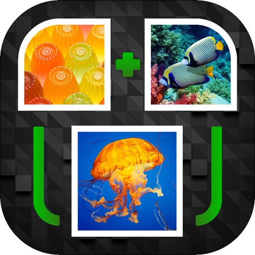 PicPicWord - New 2 Pics 1 Word Puzzle iOS App