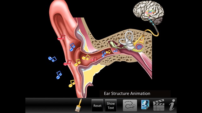 Ear ID(圖2)-速報App