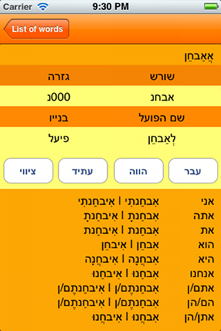 Hebrew Verbs Mobile screenshot 2