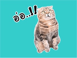 Oh My Cat Animated Stickers