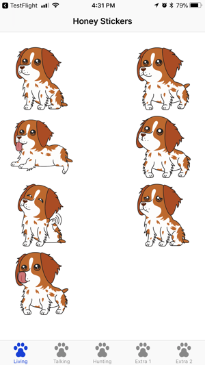 Honey the Brittany Spaniel