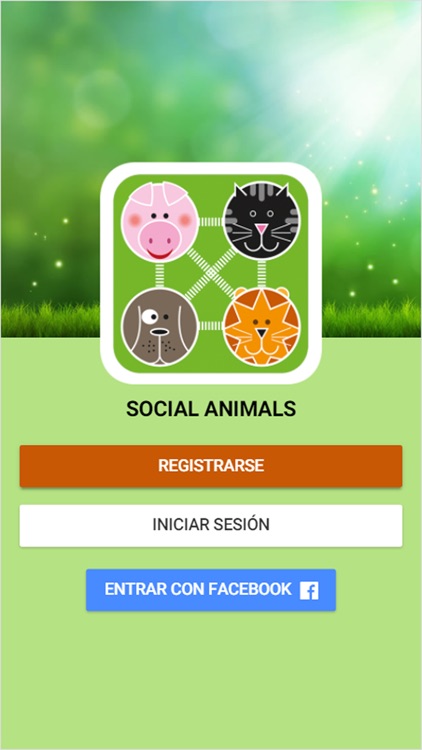 Social Animals