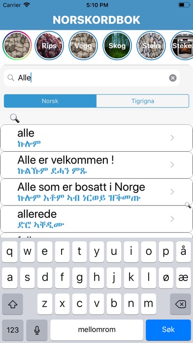 Tigrigna Norwegian Dictionary screenshot 2