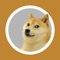 Doge Creator