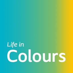 Life in Colours