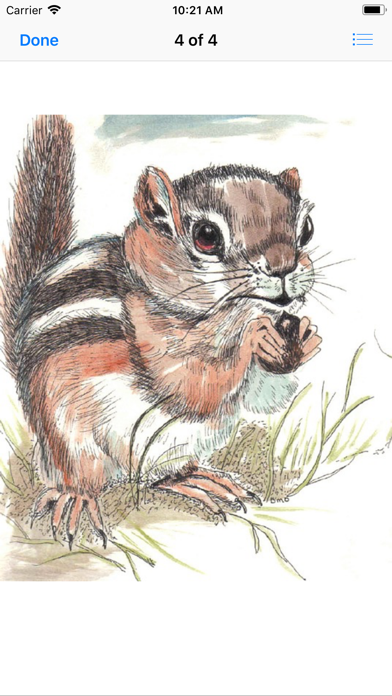 Chipmunk & Squirrel Stickers screenshot 3