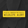 Wildlife Alert
