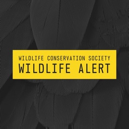 Wildlife Alert