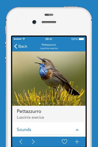 iKnow Birds 2 PRO - Europe screenshot 3