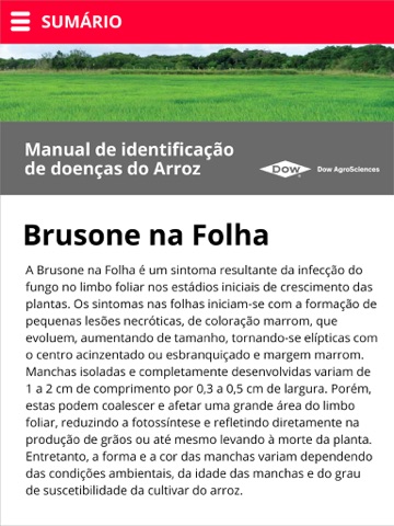 Doenças do Arroz - náhled