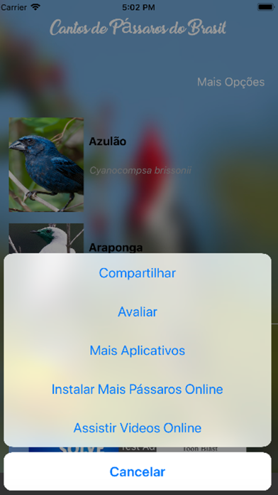 Cantos de Passaros do Brasil screenshot 3