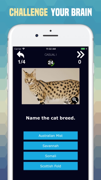 Cats Trivia - Cute Images Quiz