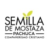 Semilla Pachuca