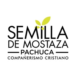 Semilla Pachuca